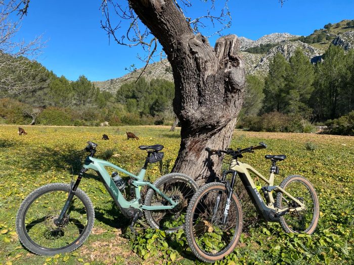EMTB Mallorca Custom Payment € - Image 3