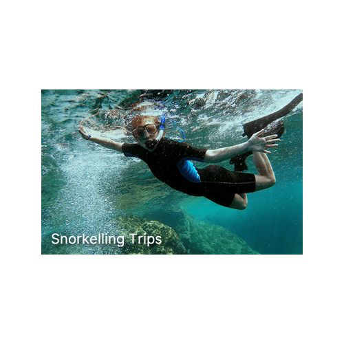 Snorkelling Trips